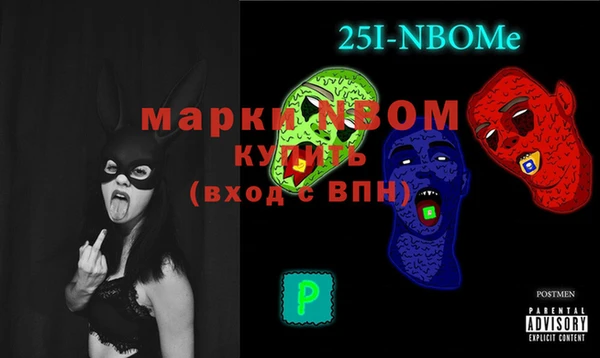 стаф Аркадак