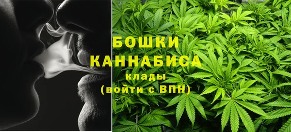 стаф Аркадак