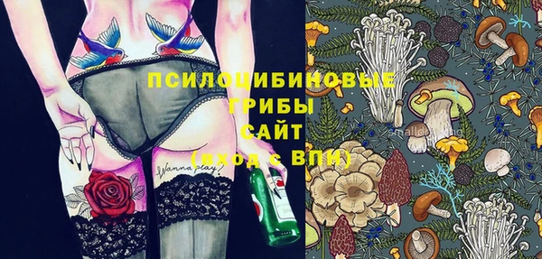 гидра Армянск