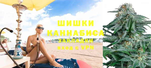 стаф Аркадак