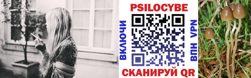 Галлюциногенные грибы мицелий  где продают наркотики  KRAKEN маркетплейс  Советск 